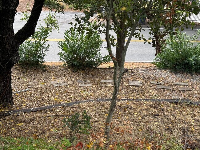 Building Photo - 5800 Encino Ave