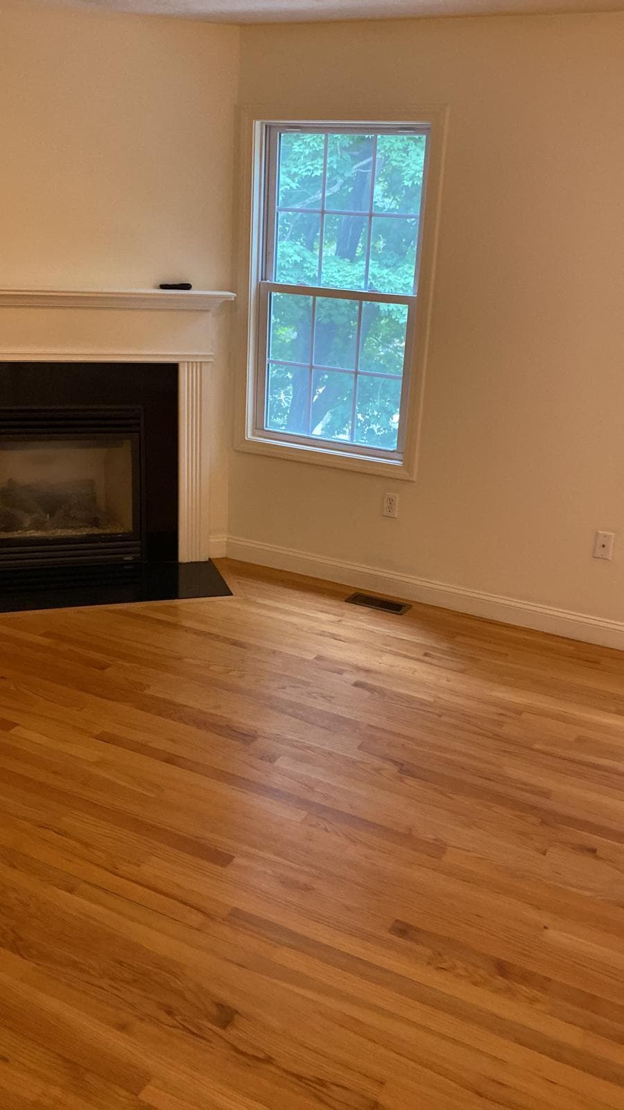 Living Room - 67 Princeton St