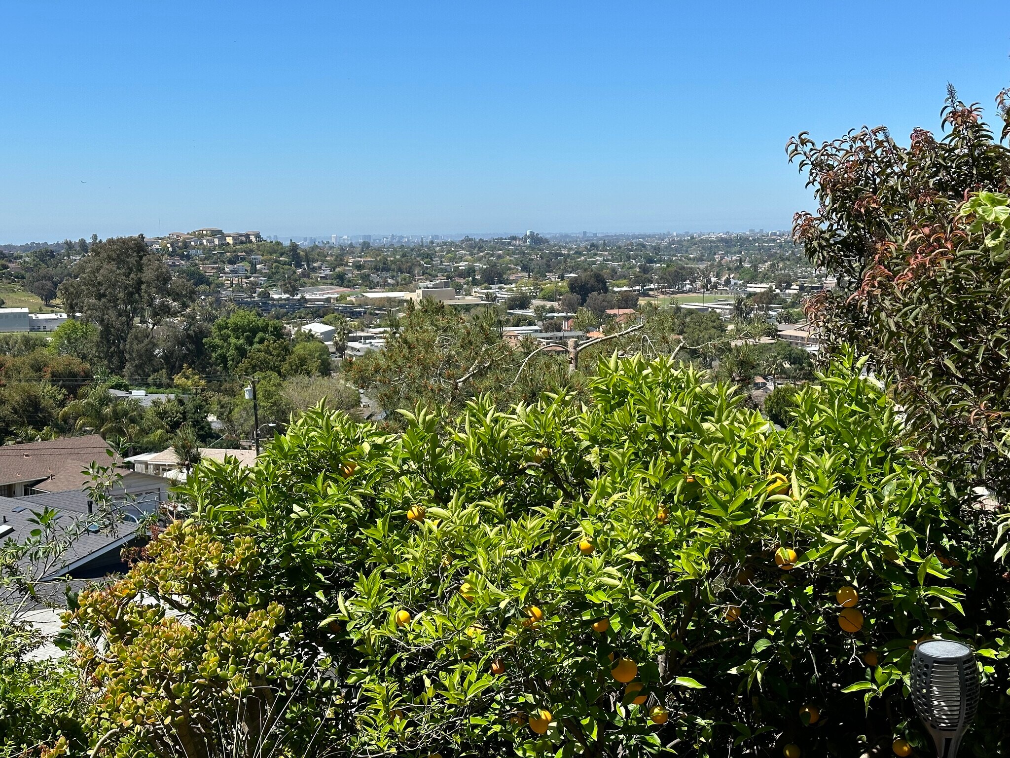 Building Photo - 4298 Avon Dr