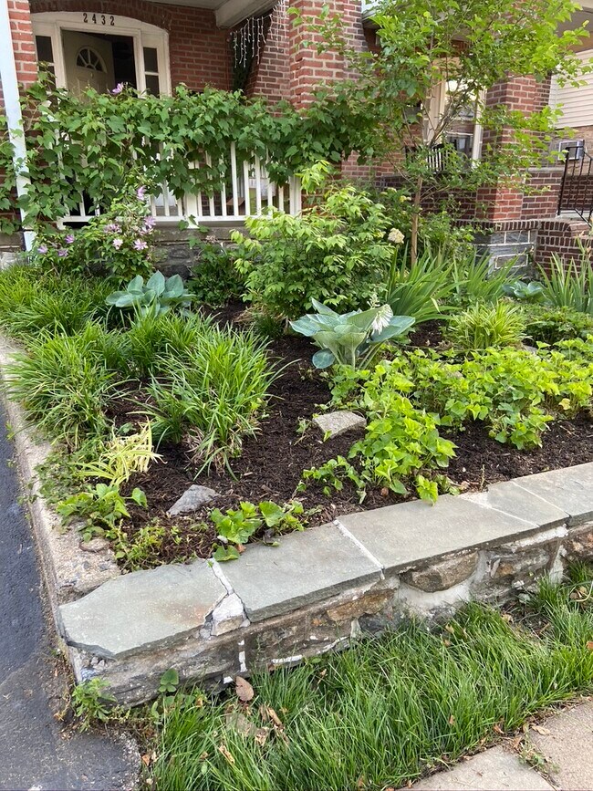 Front garden - 2432 E County Line Rd