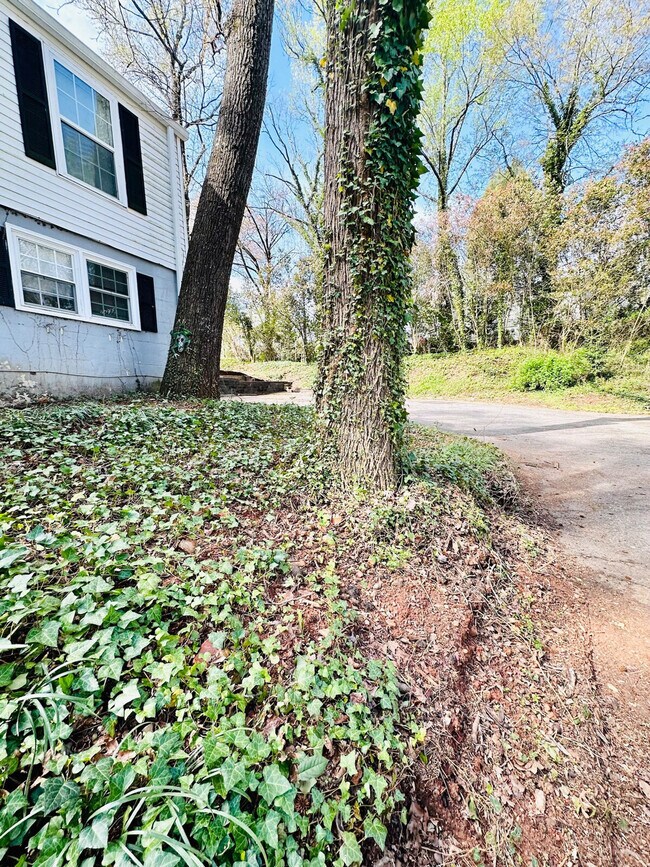 Building Photo - 1B Christopher St