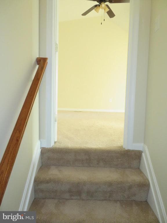Building Photo - 3700 Bedford Dr