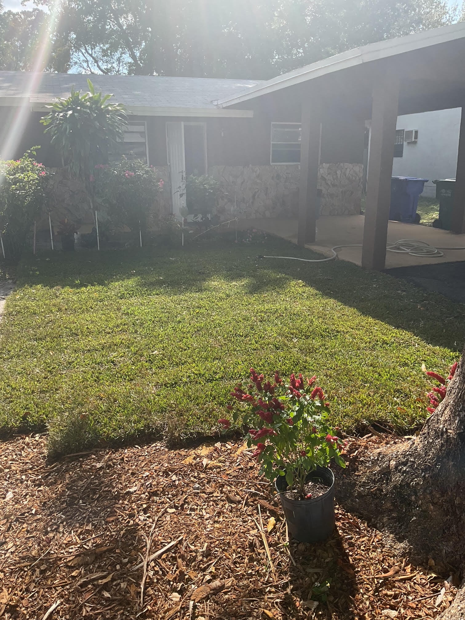 Building Photo - 2900 NW 10th Ct