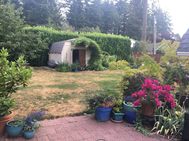 Backyard - 1904 12th Ave SW