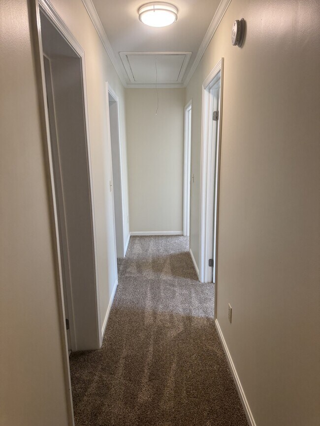 Building Photo - 1017 Baccharis Dr