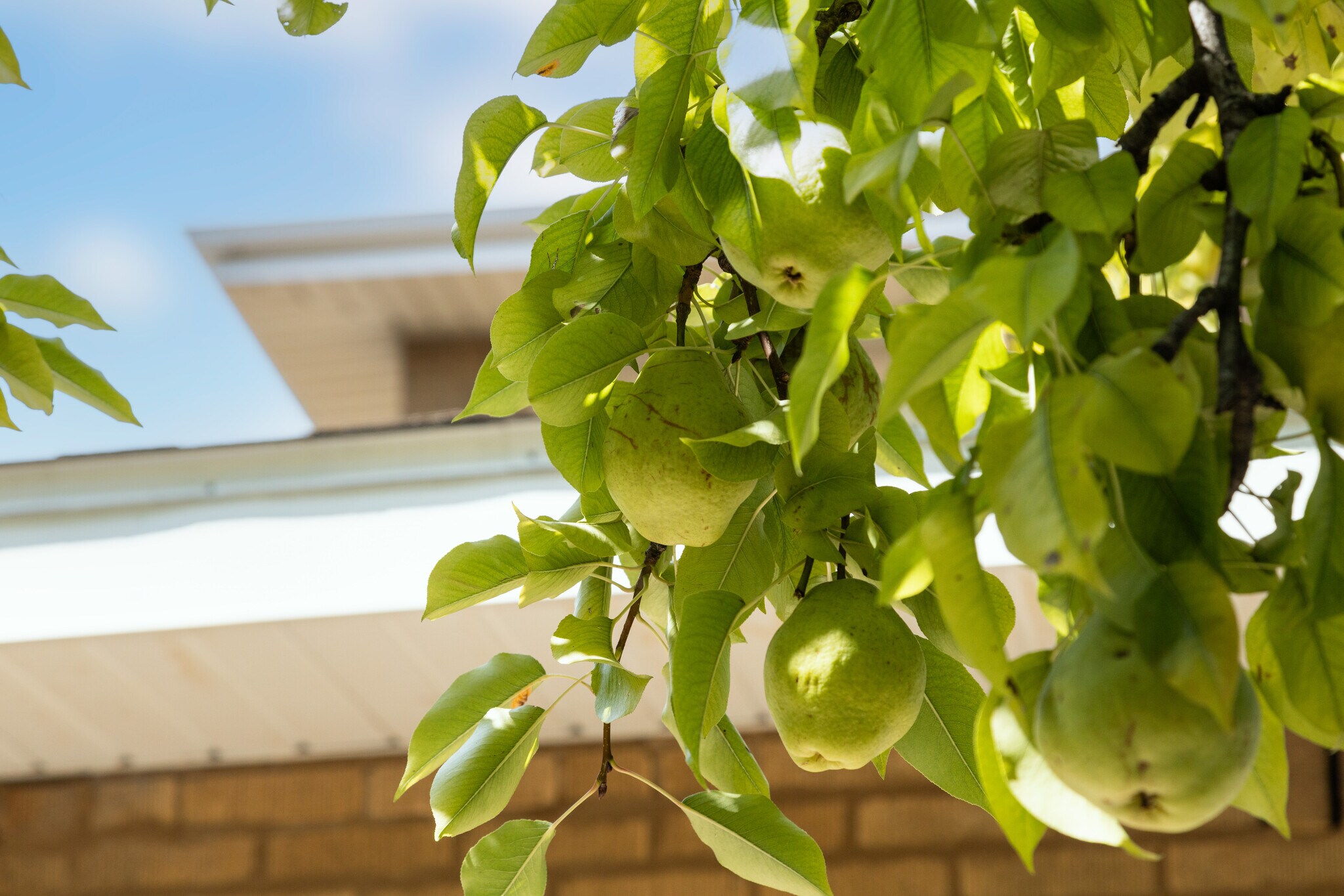 Building Photo - 7131 W Altgeld St