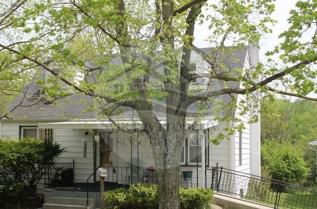 Primary Photo - Available Now