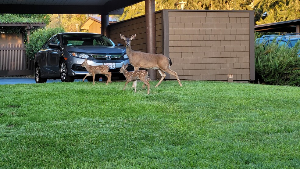 Carport Parking - 72 Surrey Ln