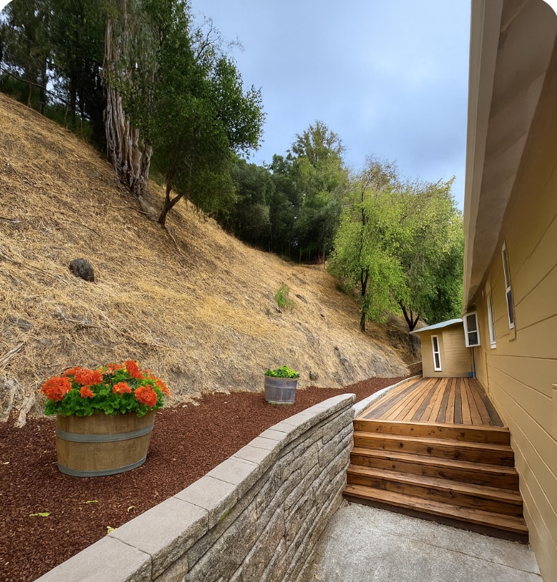 Backyard - 56 Glenaire Dr