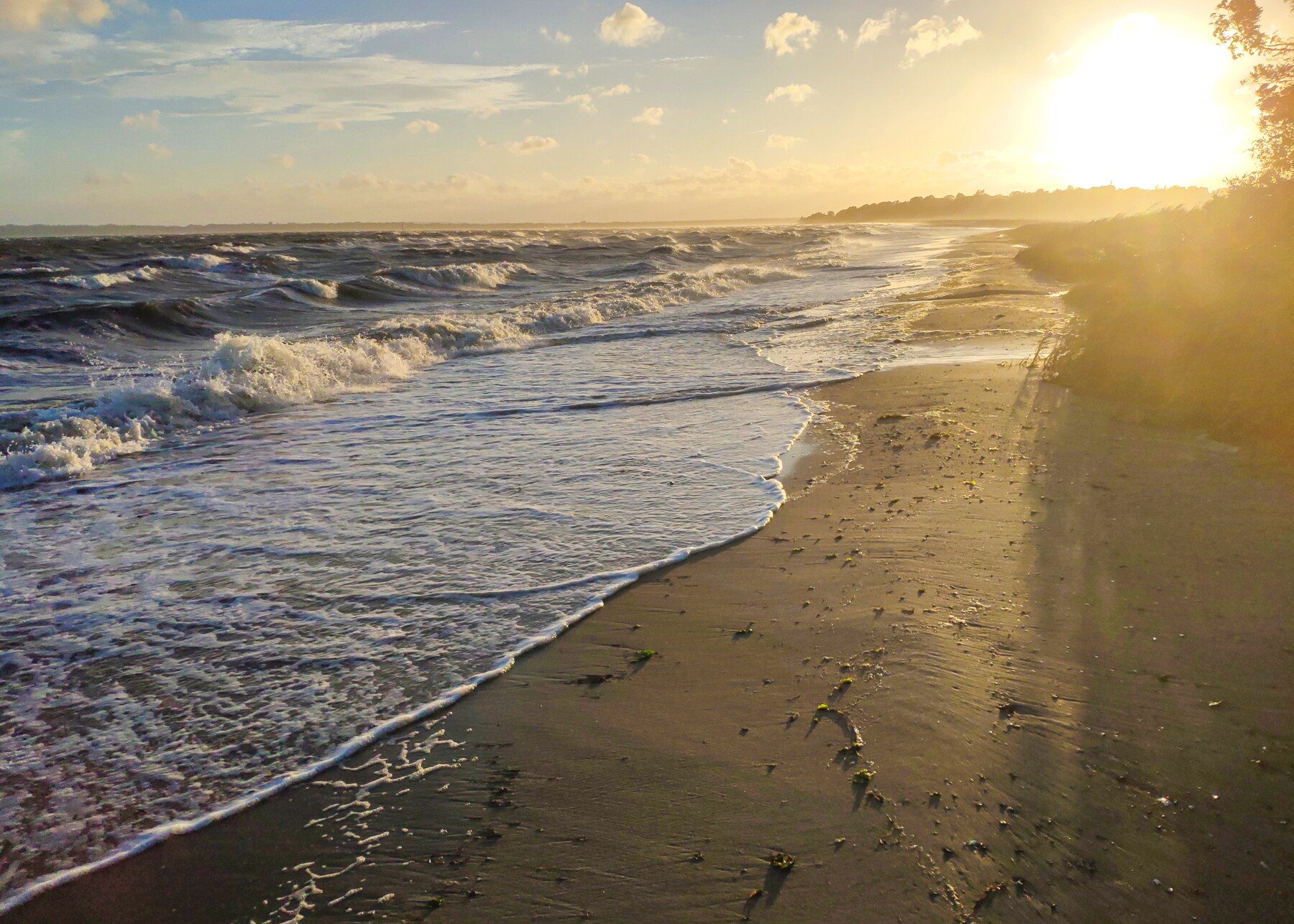 Building Photo - 48 Fales Ave