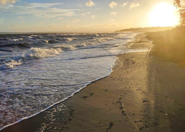 Building Photo - 48 Fales Ave