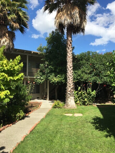 Building Photo - 16 Pacheco St