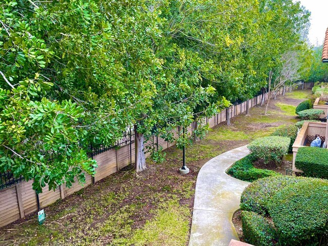 Building Photo - 11329 Avenida De Los Lobos