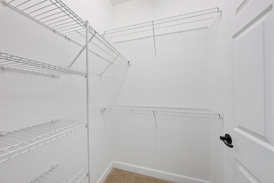 Building Photo - 1004 Crinoline Ln