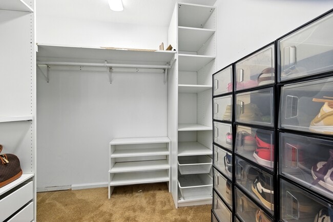 Building Photo - 3018 Silver Charm Cir
