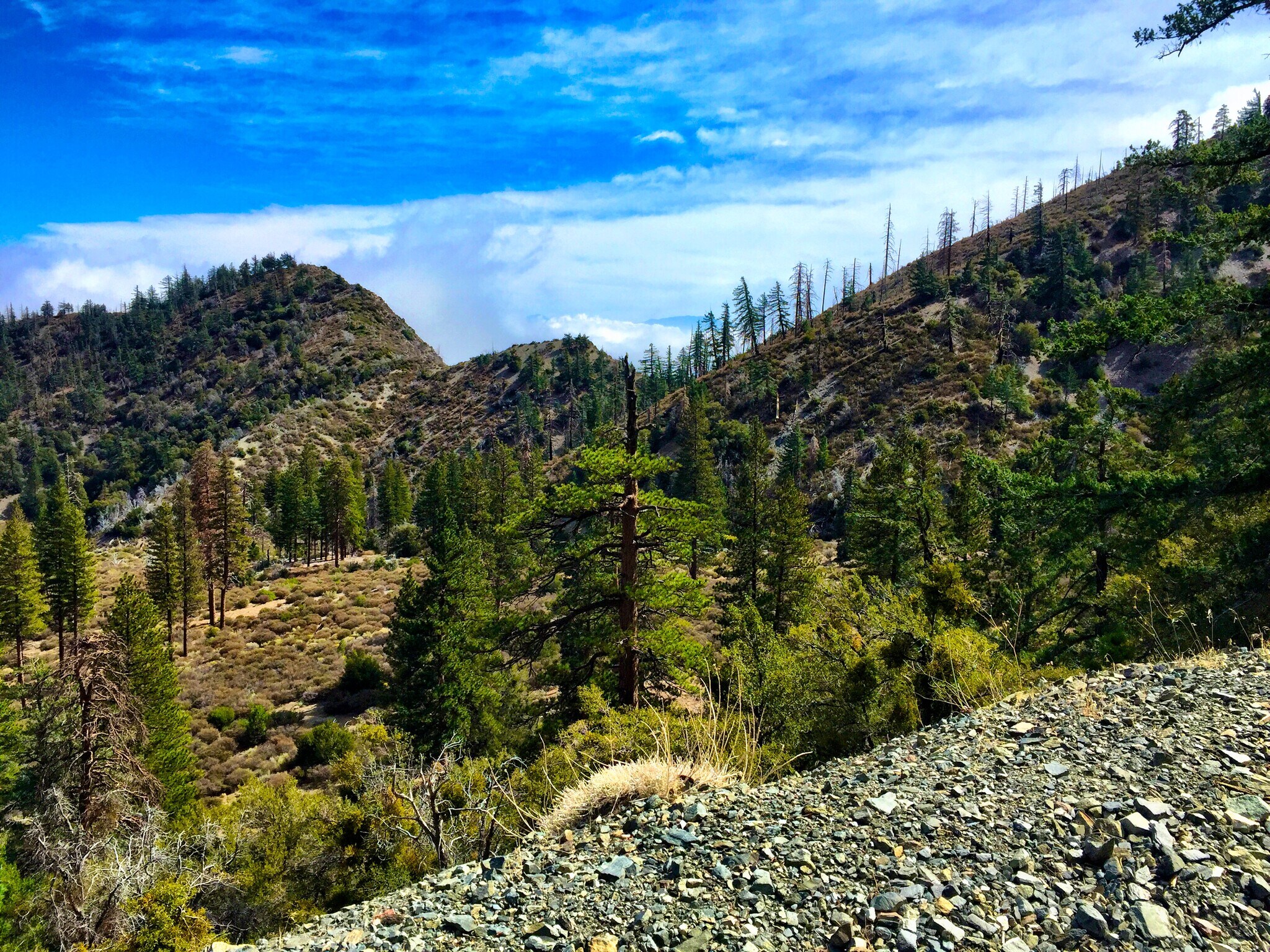 Building Photo - 13992 Irving Ln