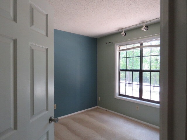Building Photo - 3803 Chimney Ridge Pl