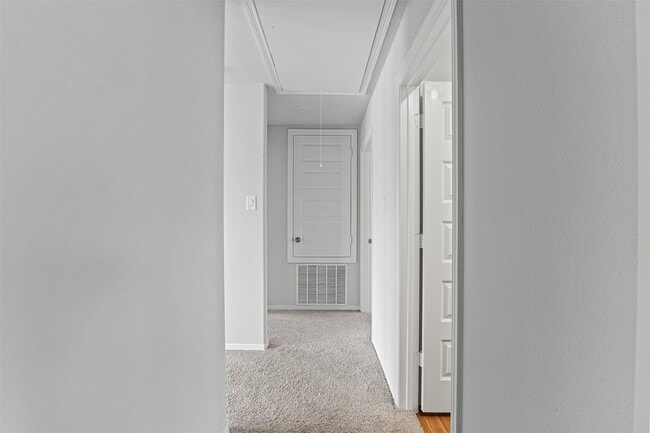 Building Photo - 10718 Soapberry Ct