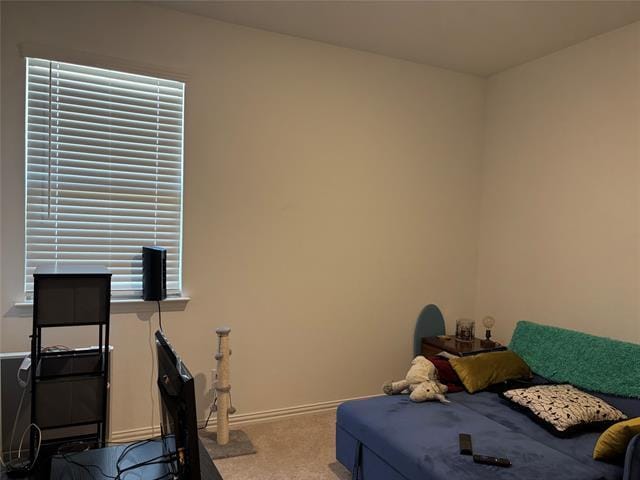 Building Photo - 1431 Mesquite Ln