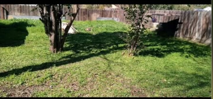 Building Photo - 751 Yosemite Pky