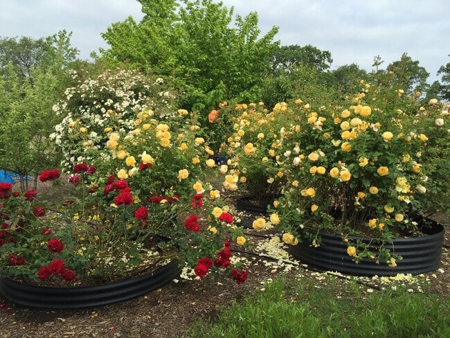 Building Photo - Gorgeous Multilevel 4 Bedroom 2.5 Bathroom Home on Acreage