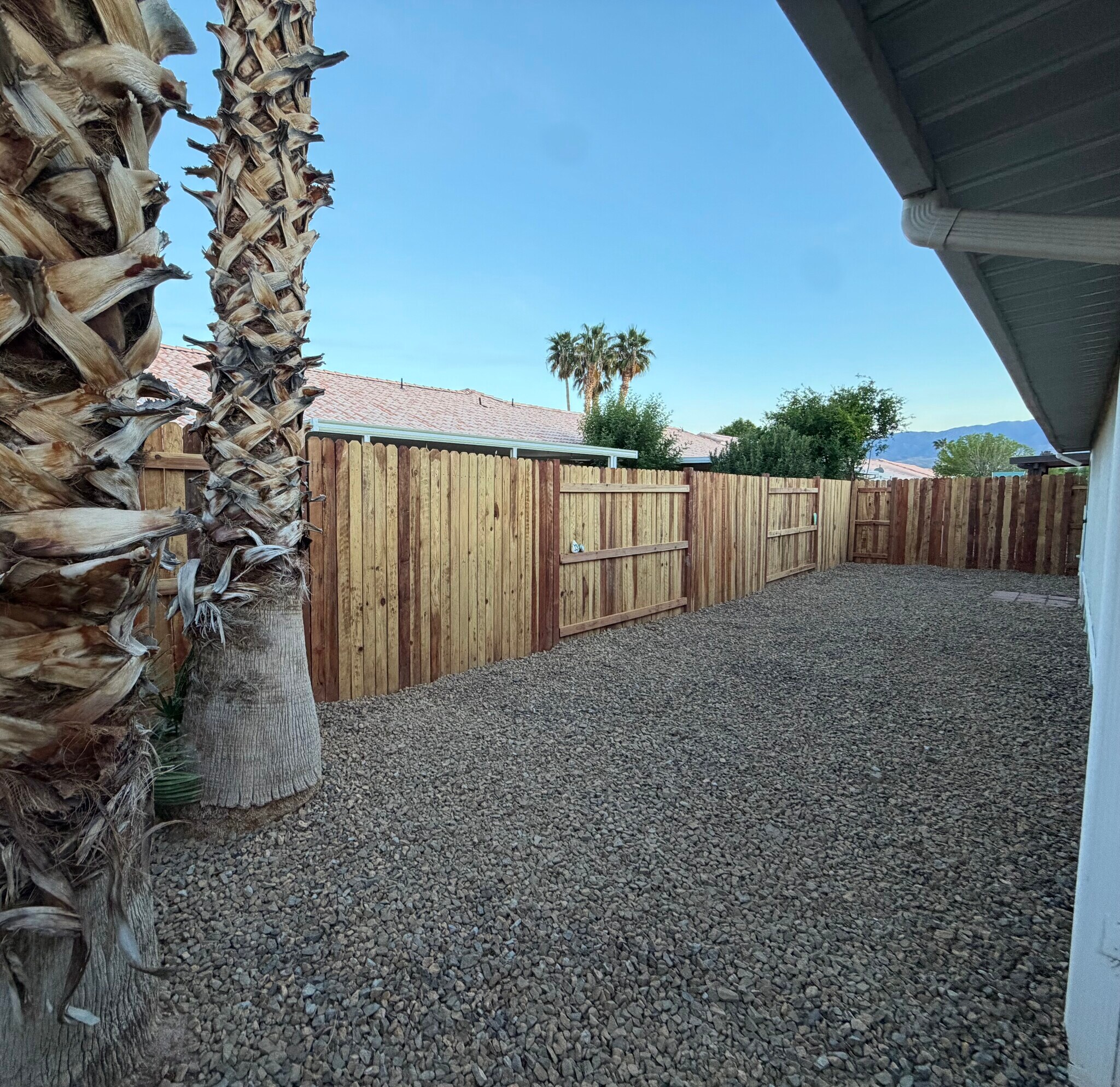 Back yard - 254 Reber Dr