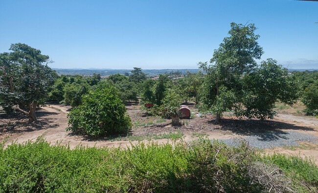 Building Photo - 3 Bedroom Ranch-Style Home on Avocado Grove Property in South Morro Hills
