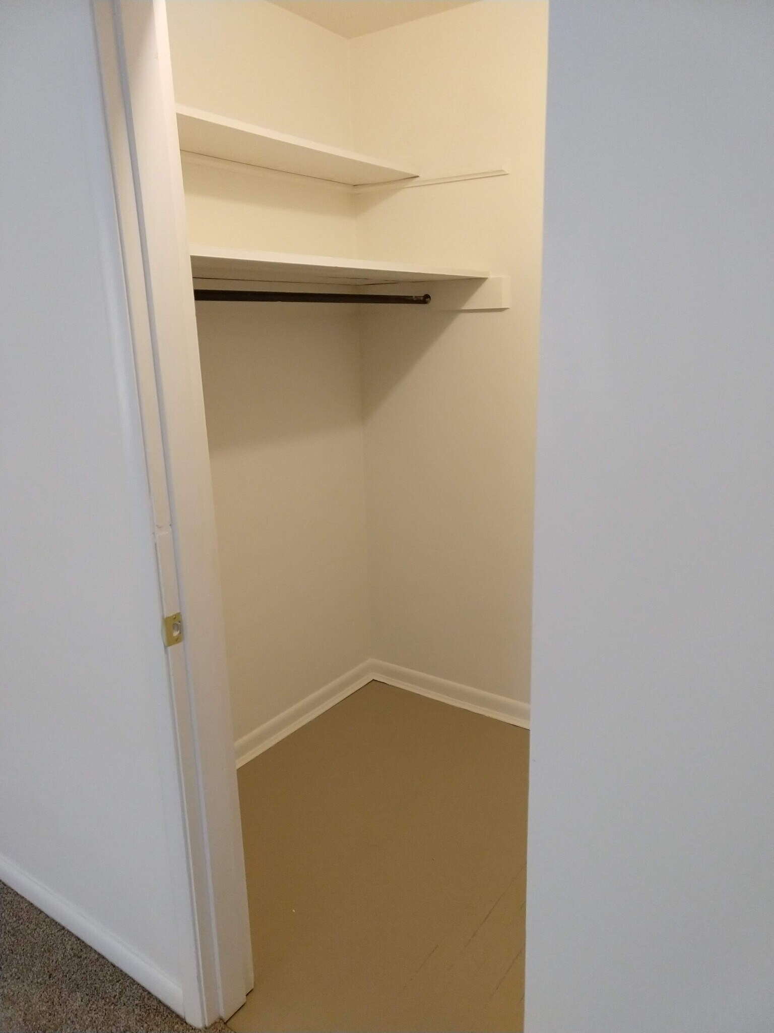 Extra walk in closet off living room - 5361 Plumridge Dr