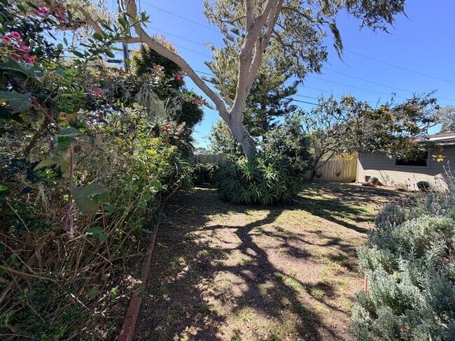 Building Photo - 3 Bed and 3 Bath Home Located Off of Forest Ave