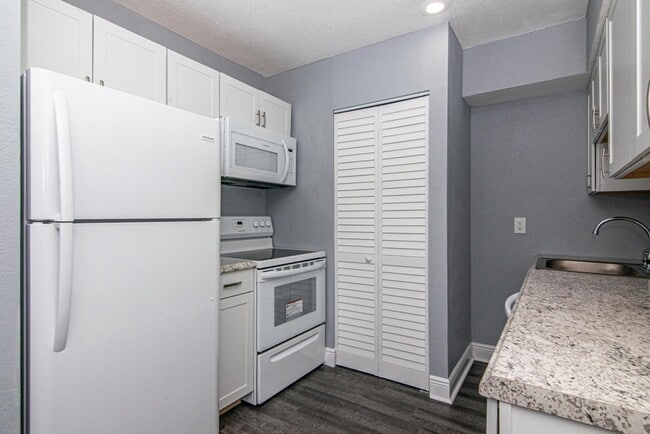 Building Photo - Newly Renovated and Remodeled - 2 Bedroom 1 Bath for Lease in Brandon, FL
