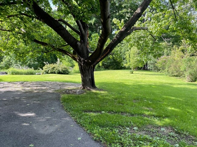 Building Photo - Lovely Tudor Home with convenient in town location