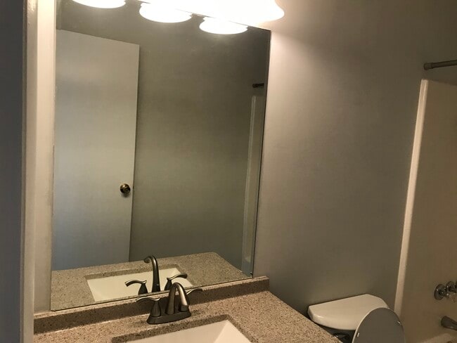 Hall bathroom - 723 Mercer Dr