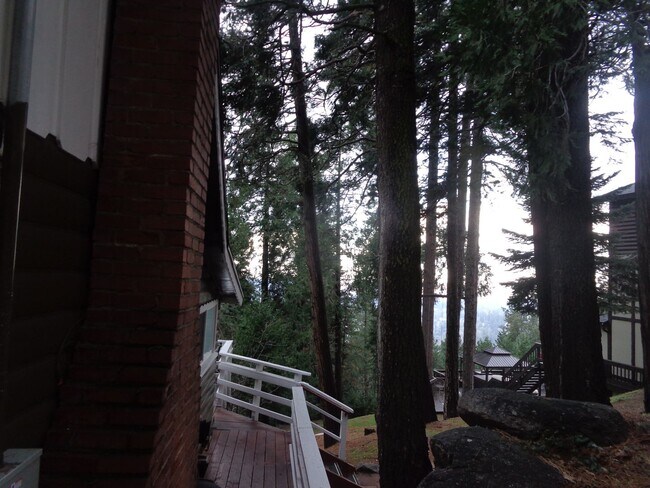 Building Photo - 4 BEDROOM ON KNOLL CIRCLE