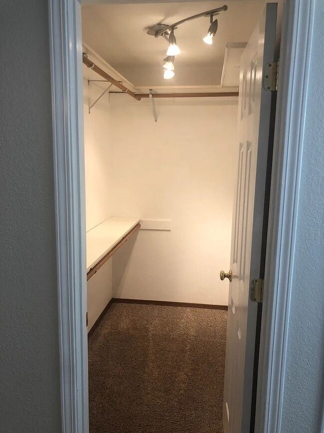 Building Photo - Spacious Single Level 3bd 2.75bath available Dec. 9th