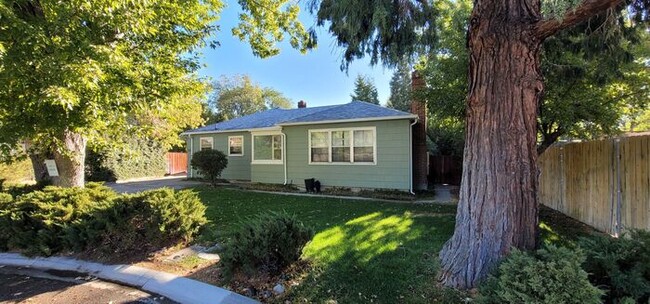 Primary Photo - Beautiful, cozy 3 bedroom 2 bath house nea...