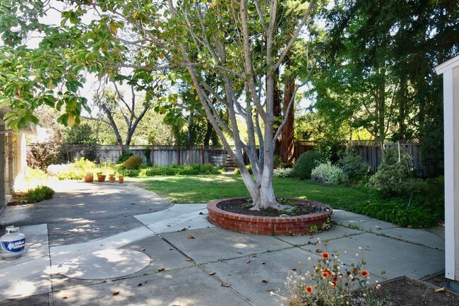 Building Photo - Third-Acre of Serenity