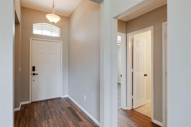 Building Photo - 205 N Bending Oak Ln