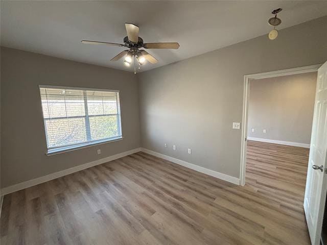 Building Photo - 3102 Kings Rd