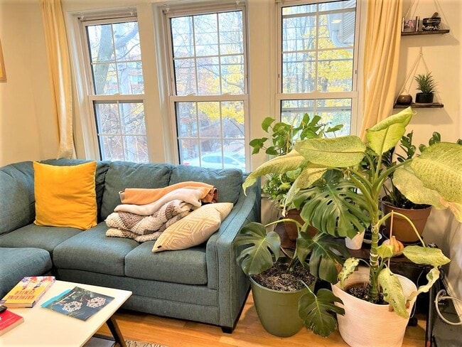 Building Photo - Boston Rental! A GREAT LOCATION to live in...