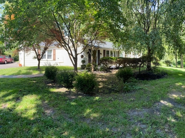 Building Photo - 203 Brookside Drive