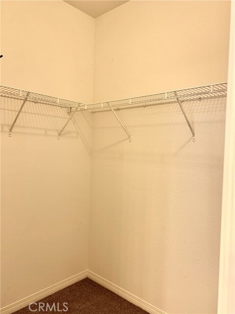 Building Photo - 142 Principia Ct