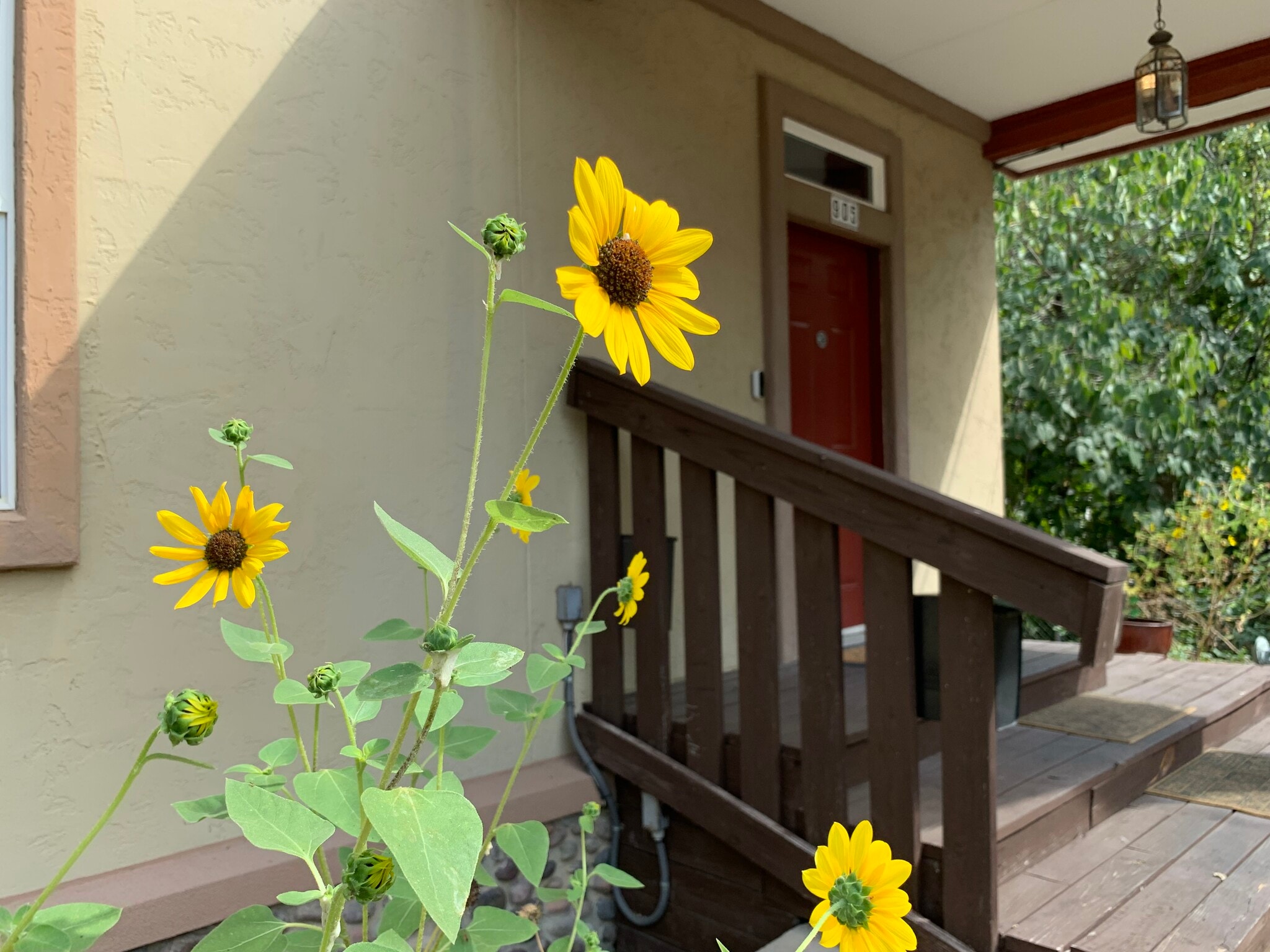 Entrance. Room for rent. Austin, Tx 78702 - 905 Prospect Ave