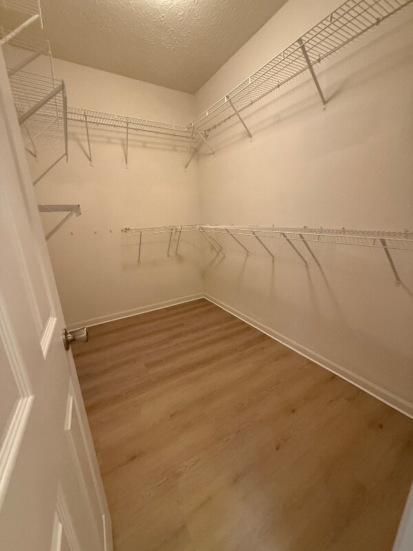 Building Photo - 102 Privett Ct