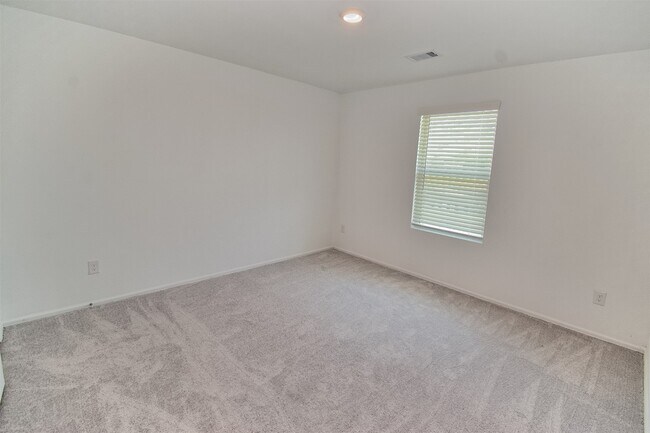 Building Photo - 4207 Palmetto Grv Ln