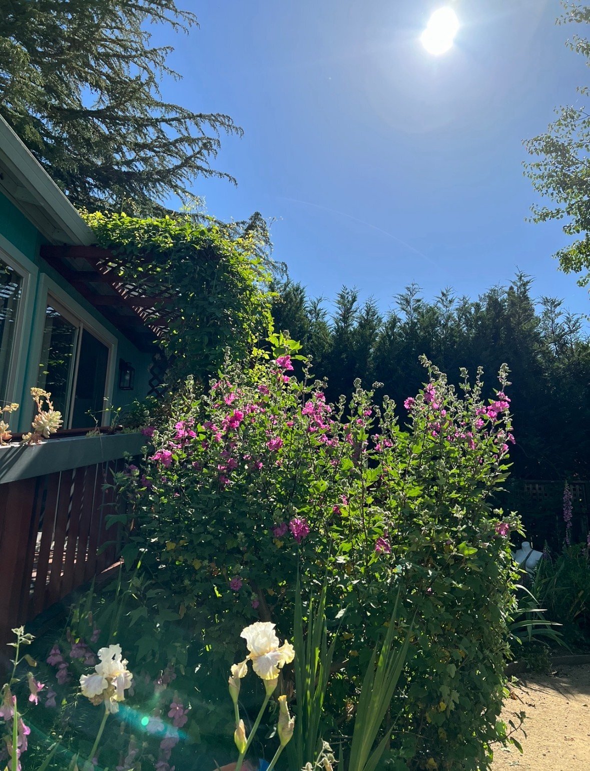 Building Photo - 14717 Carrier Ln