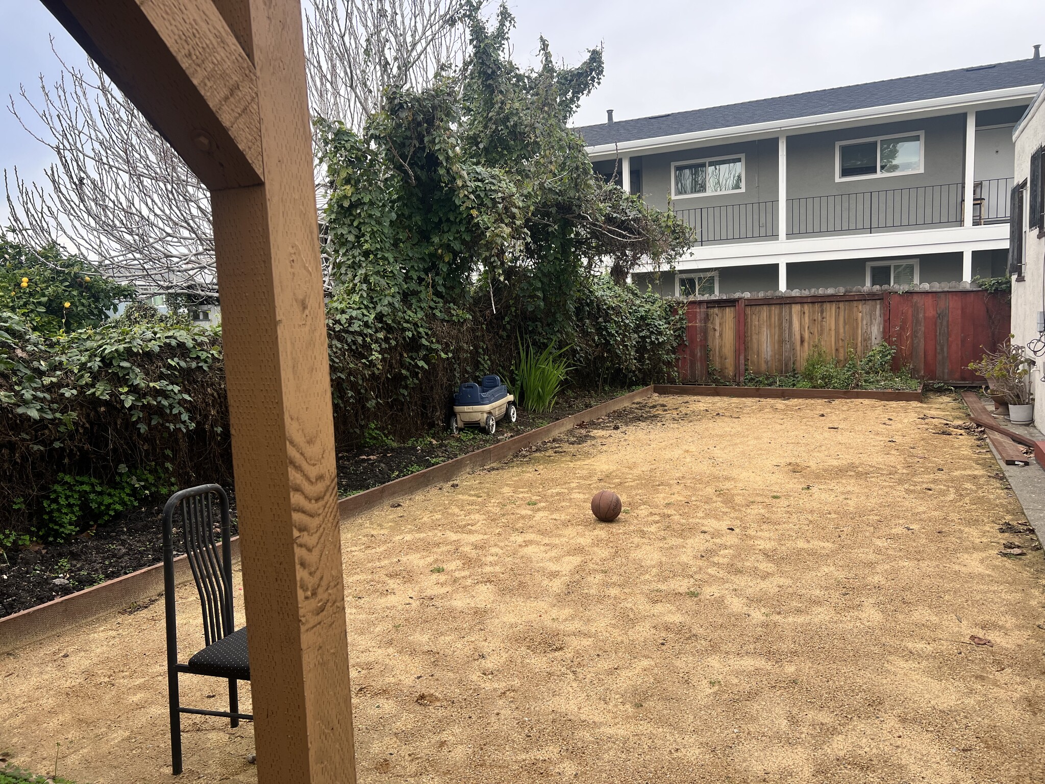 Shared backyard - 949 Channing Way