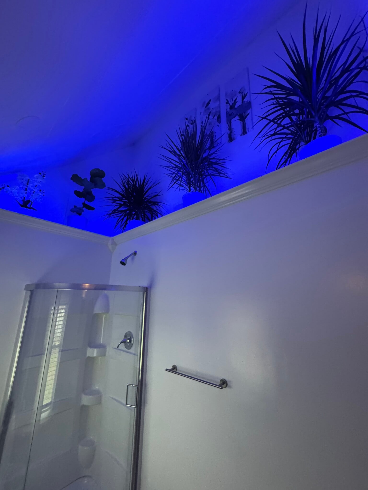 Building Photo - 536 Arsenal St