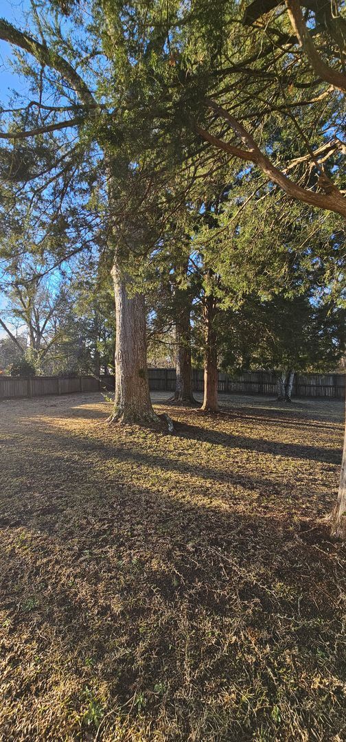 Building Photo - Spacious 3-Bedroom, 2-Bath Home with Modern Updates in Conway, SC - Long Term Rental