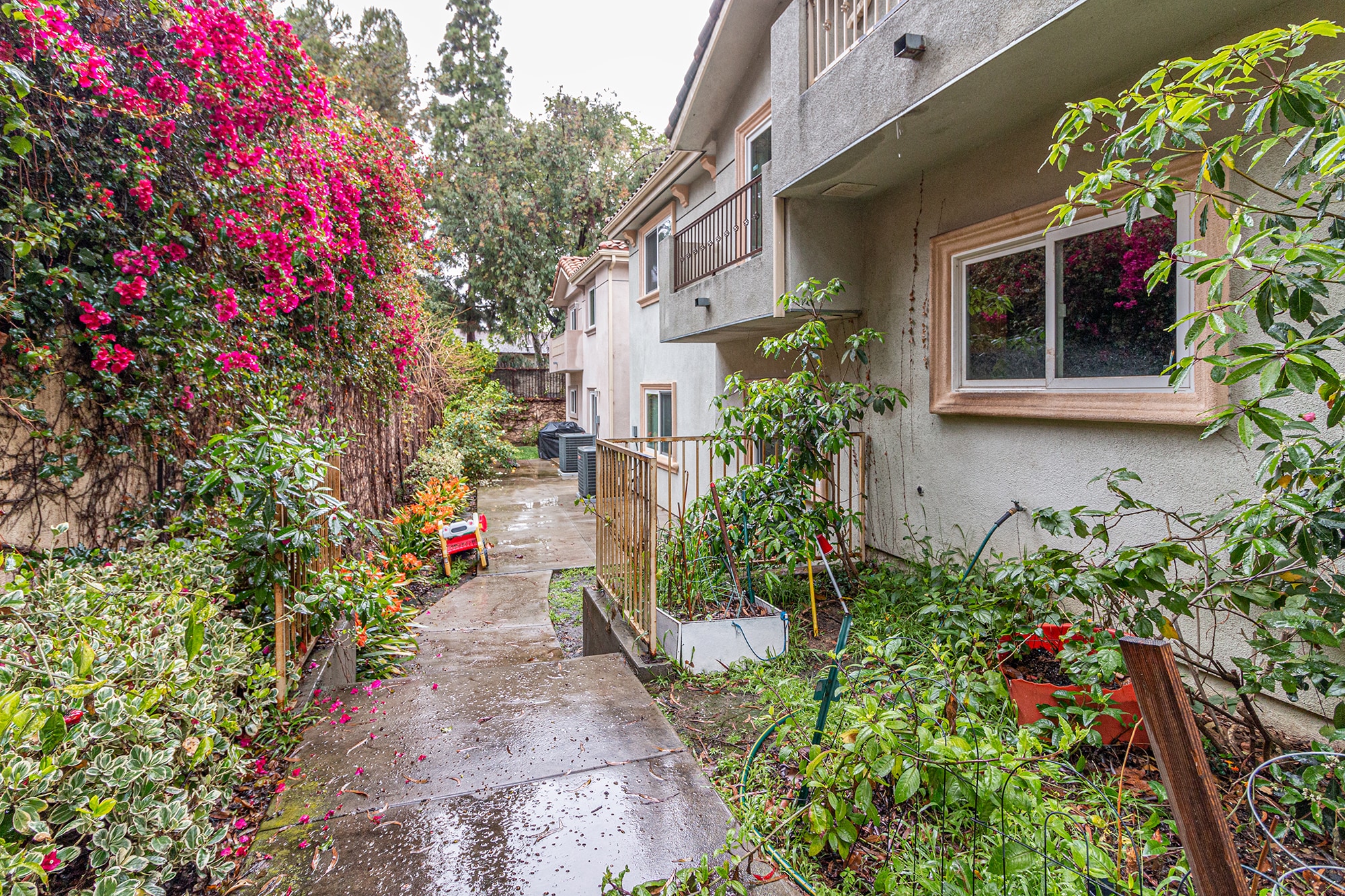 Rear yard - 3689 S La Cienega Blvd