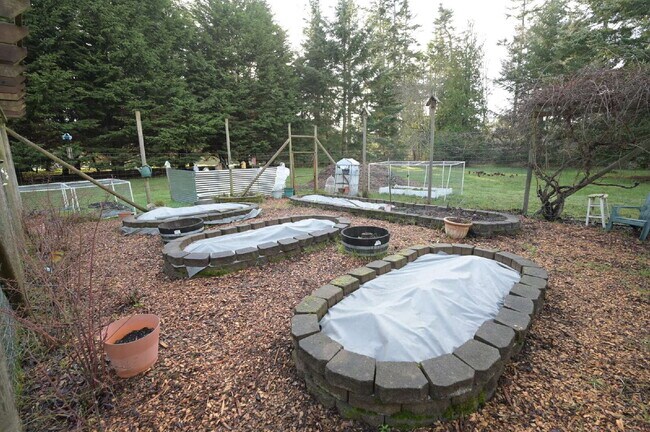 Building Photo - Home and cabin with water view on 3 acres, in Sequim